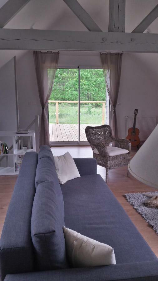 Appartement Des Grands Champs Avec Terrasse Saint-Aignan  Zewnętrze zdjęcie